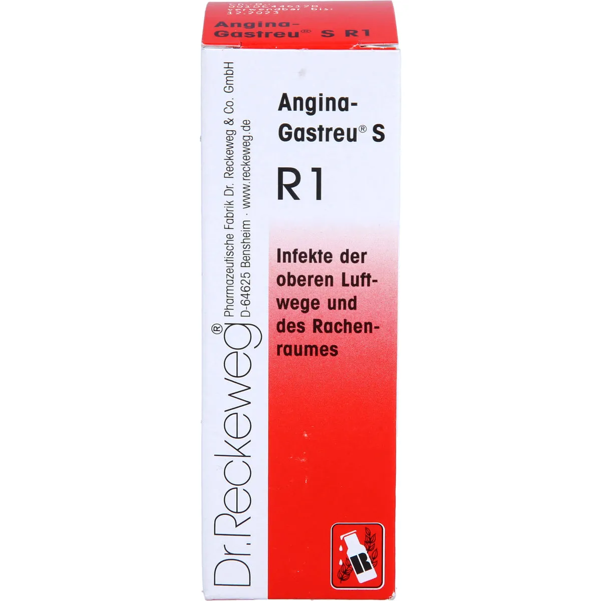 Dr.Reckeweg Angina-Gastreu S R1 Mischung bei Infekten der oberen Luftwege und des Rachenraumes, 22 ml Mischung