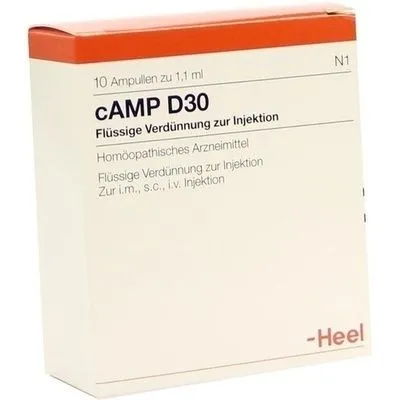 CAMP D 30 Ampullen 10 St