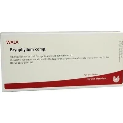 BRYOPHYLLUM COMP.Ampullen 10X1 ml