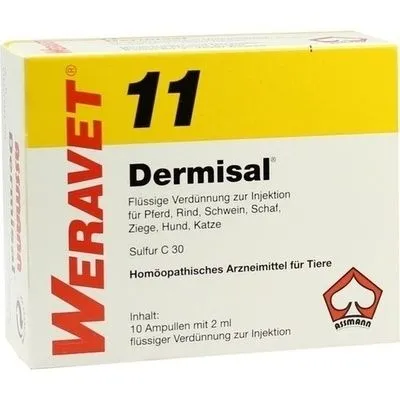 DERMISAL 11 Ampullen vet. 10X2 ml