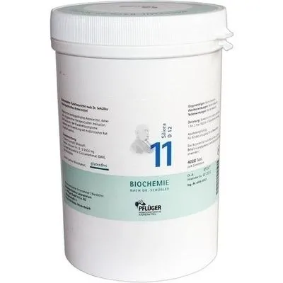 BIOCHEMIE Pflüger 8 Natrium chloratum D 6 Tabl. 4000 St