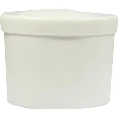 PROTHESENBEHÄLTER m.Deckel u.Einsatz weiß 1 St