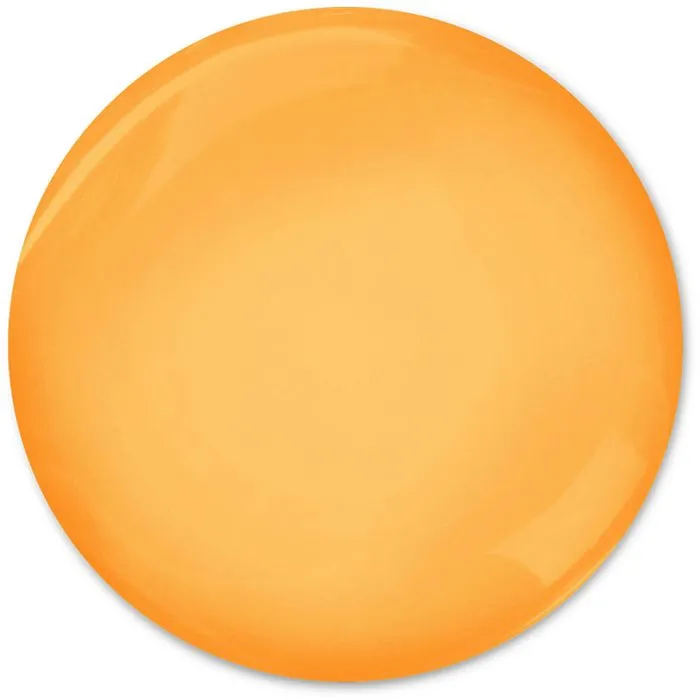 RAUSCH Kamillen Amaranth Repair Shampoo 40 ml