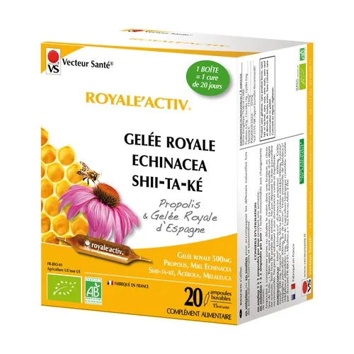 Vecteur Sante Royale'activ