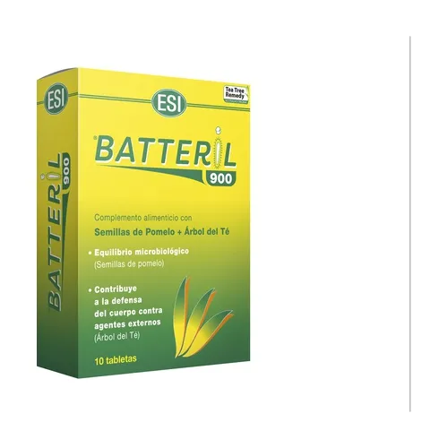 ESI Batterie 900