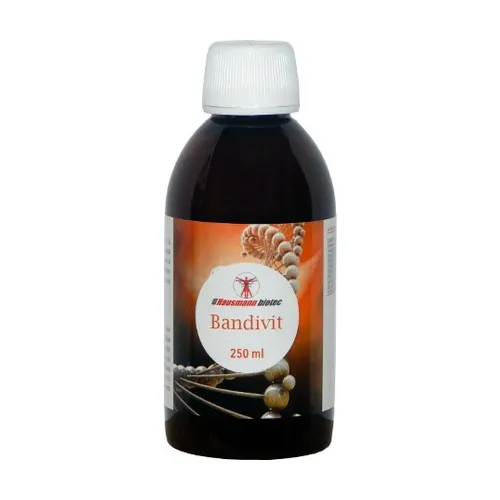 Hausmann Bandivit Sirup