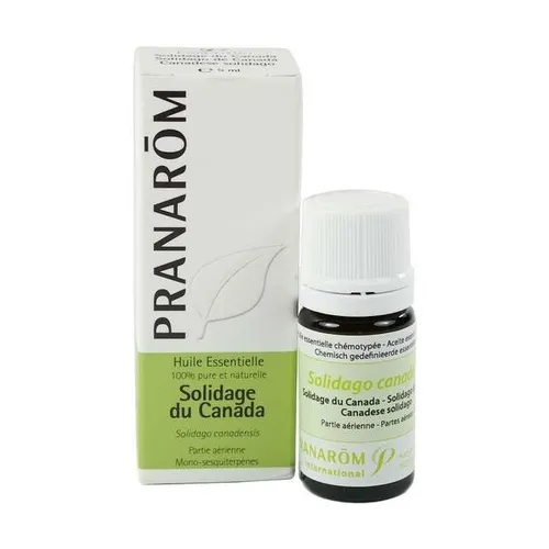 Pranarom Ätherisches Öl von Solidago De Canada