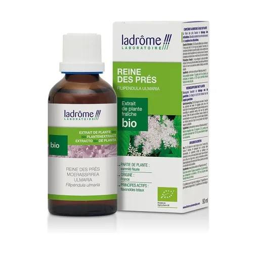 Ladrome EPF Königin der Wiesen