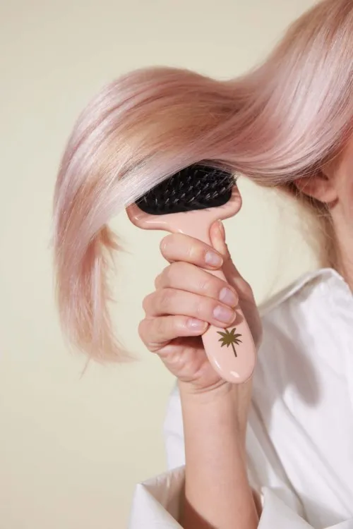 Fan Palm Large Paddle Brush Double Bloom