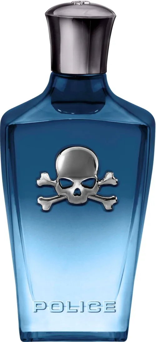 POLICE Potion Power for Him EdP 100 ml