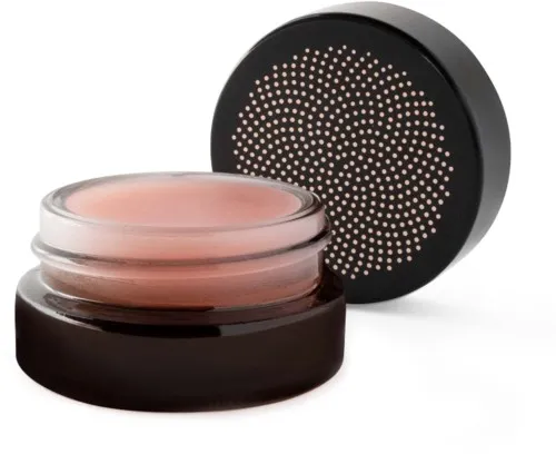 True Botanicals Moisture Lock Glossy Balm 4 g